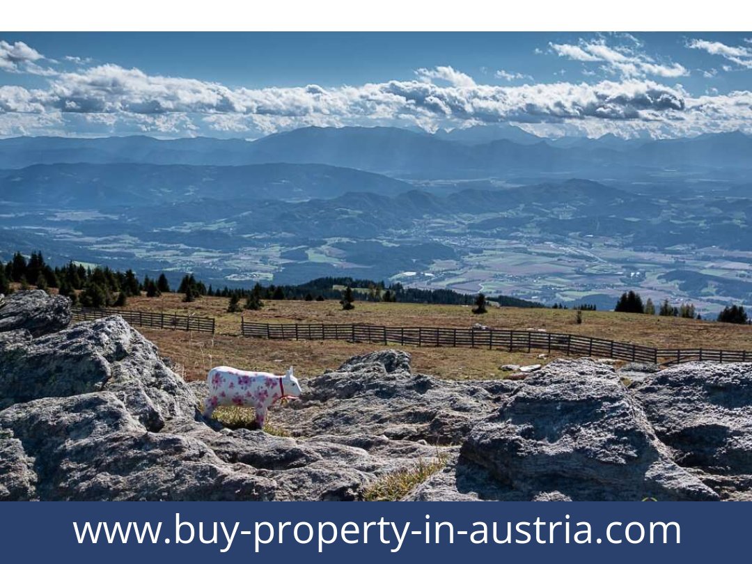 buy-property-in-austria-st. gertraud-9413-20251011121847-0034901021.jpg